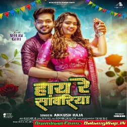 Hay Re Sanwariya (Ankush Raja)