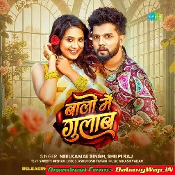 Balo Me Gulab (Neelkamal Singh, Shilpi Raj)
