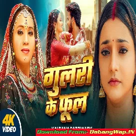 Gulari Ke Phool Ae Saiya Bhaila