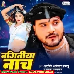 Naginiya Nach