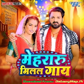 Mehrari Milal Biya Hamara Ke Gaay Ho Dada (Hit Matter)