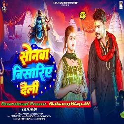 Kawan Chuk Bhail Ae Bhola Ji Janua Bisariye Deli Ho Na